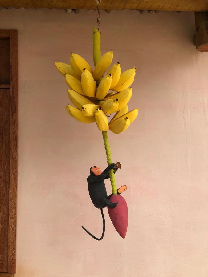 Casa Rosa Atins Villa Ngoại thất bức ảnh